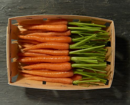 Barquette de mini-carottes oranges - LE JARDIN DES ROYS