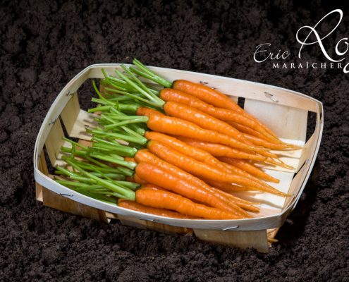 Mini carottes en barquette